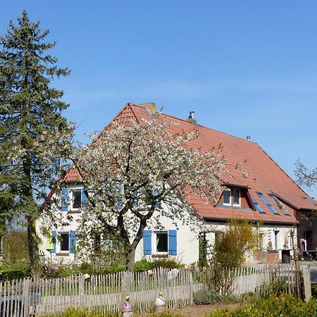 Hof Sorgenlos Gross Gievitz Bagian luar foto