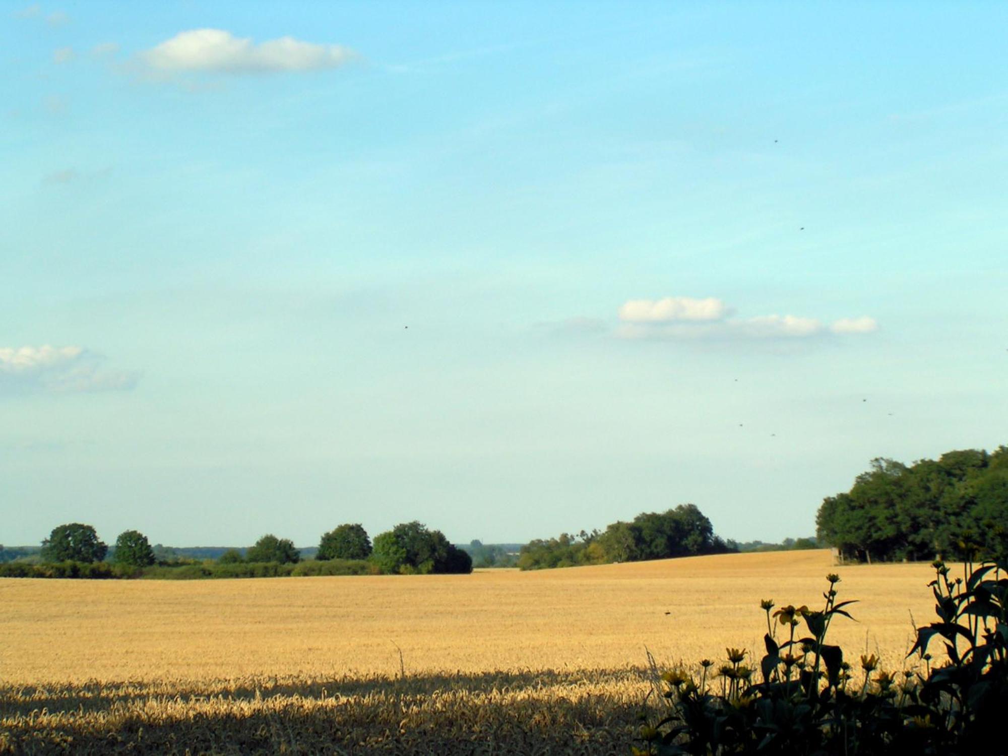 Hof Sorgenlos Gross Gievitz Ruang foto