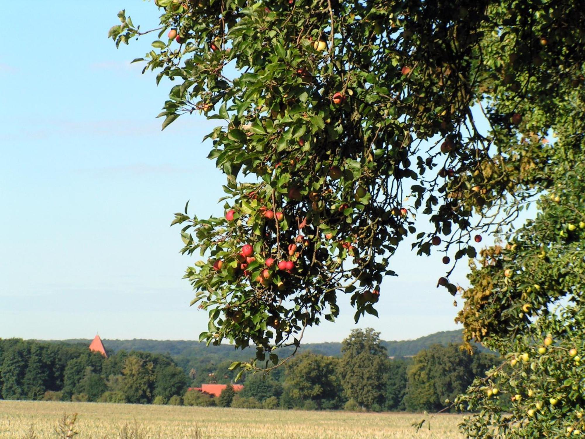 Hof Sorgenlos Gross Gievitz Bagian luar foto