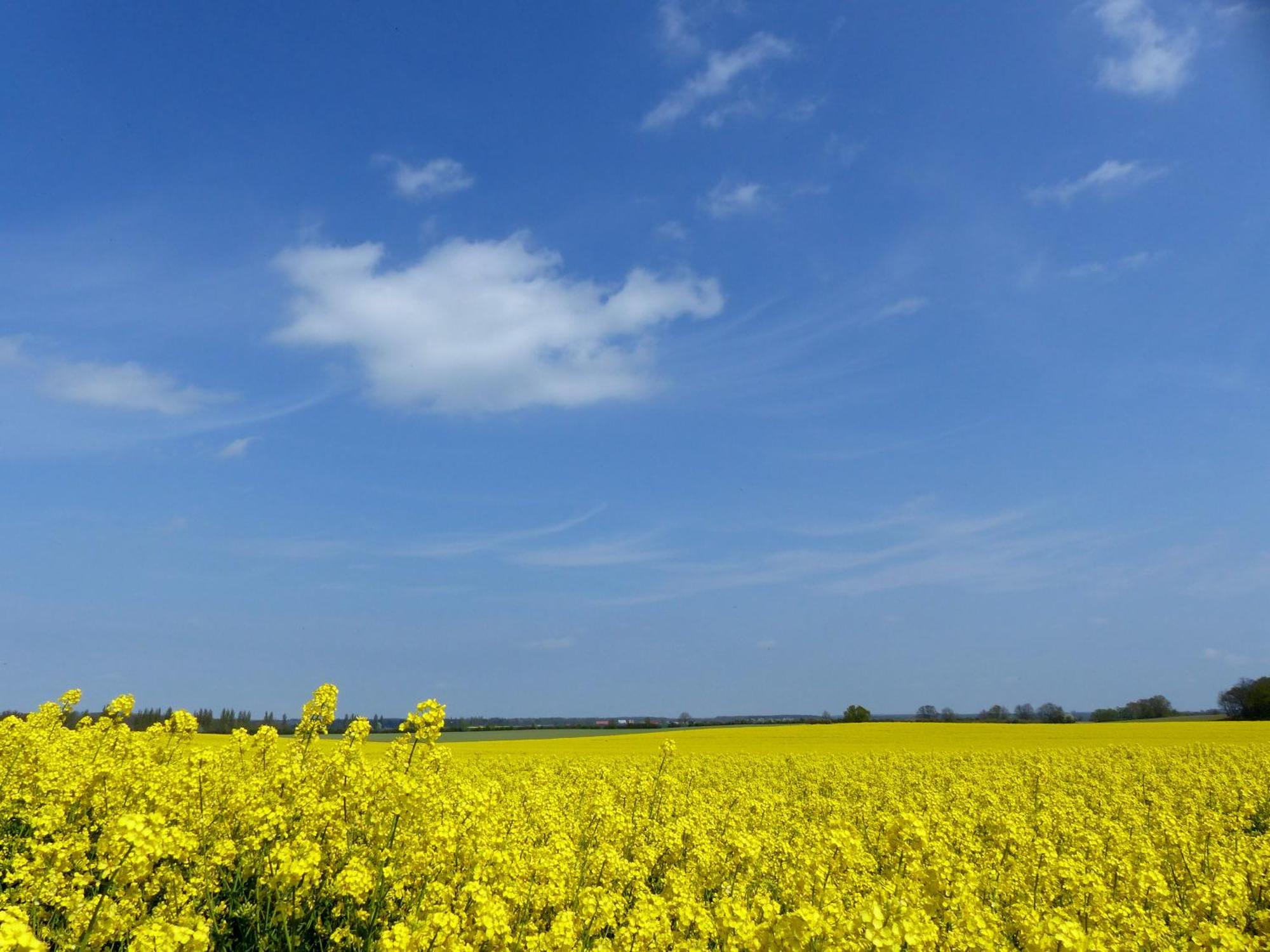 Hof Sorgenlos Gross Gievitz Ruang foto