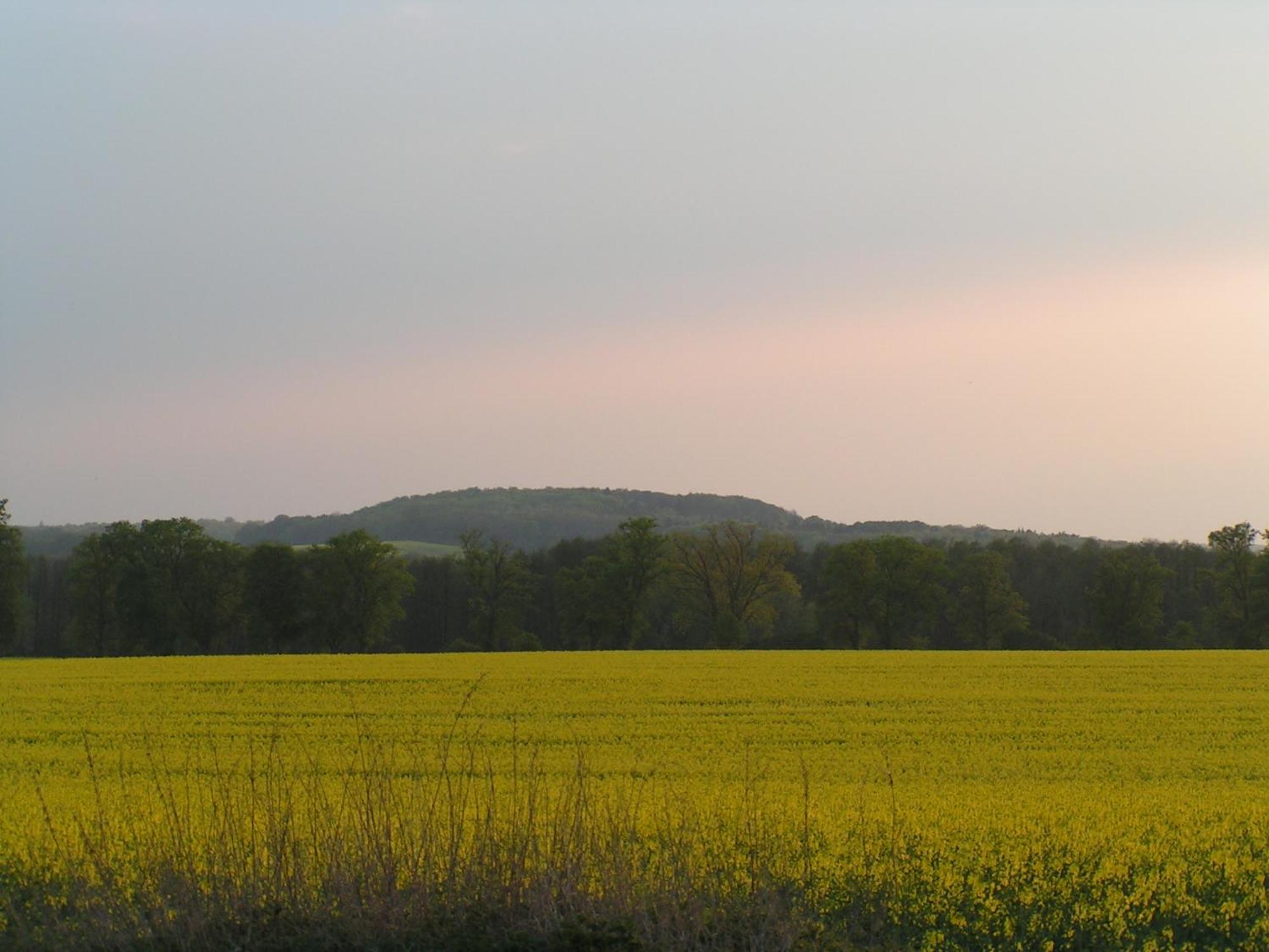 Hof Sorgenlos Gross Gievitz Ruang foto