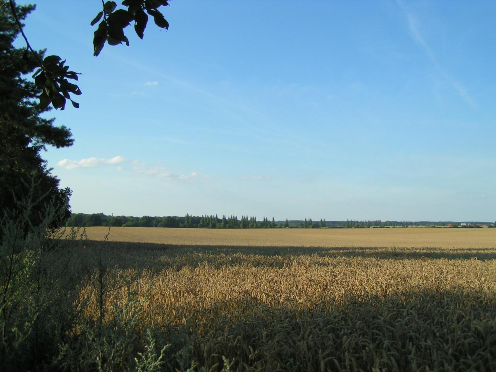 Hof Sorgenlos Gross Gievitz Ruang foto