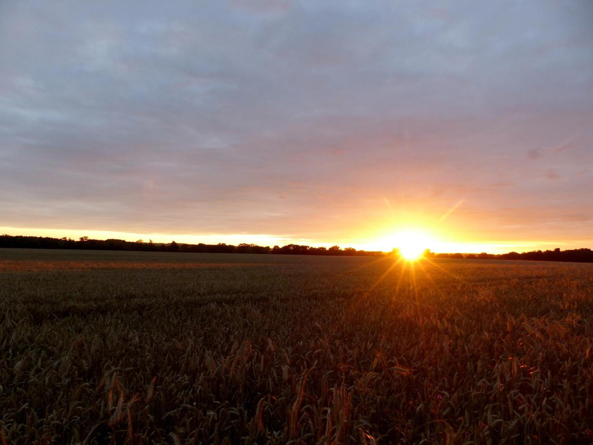 Hof Sorgenlos Gross Gievitz Ruang foto